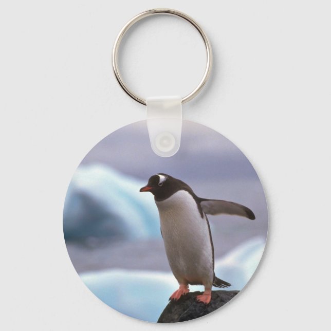 Llavero Pingüino Gentoo (Anverso)