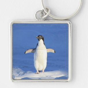 Llavero Pingüino gracioso en hielo
