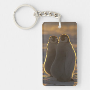 Llavero Pingüinos Emperadores
