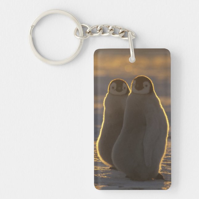 Llavero Pingüinos Emperadores (Frente)