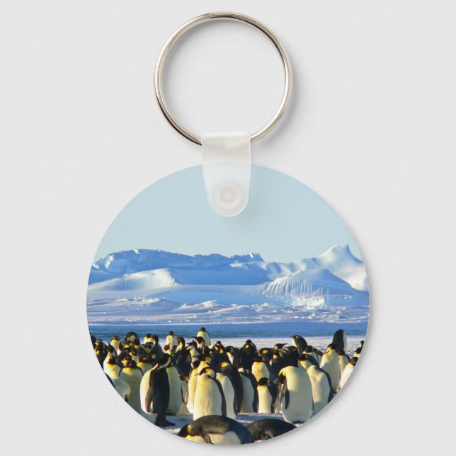 Llavero Pingüinos emperadores (Anverso)