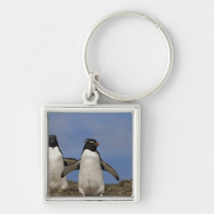 Llavero Pingüinos saltarrocas Eudyptes chrysocome