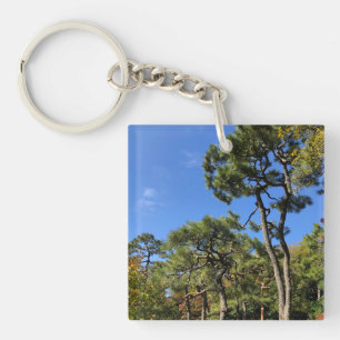 Llavero Pinos en el cielo otoñal
