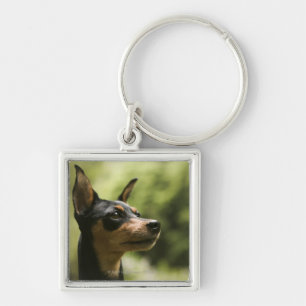 Llavero Pinscher miniatura (Minuto-Pin) 2