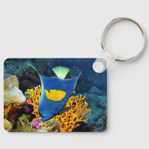 Llavero Pintoresca Angelfish frente al coral, Mar Rojo