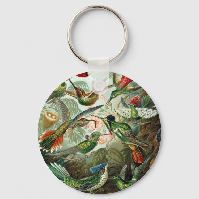 Llavero pintura clásica de la fauna silvestre de comingbir (Anverso)