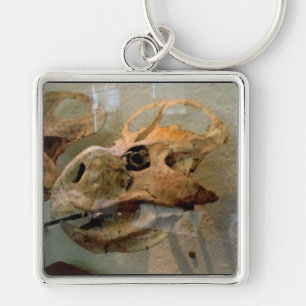 Llavero Pintura de aceite de cráneo de Dino