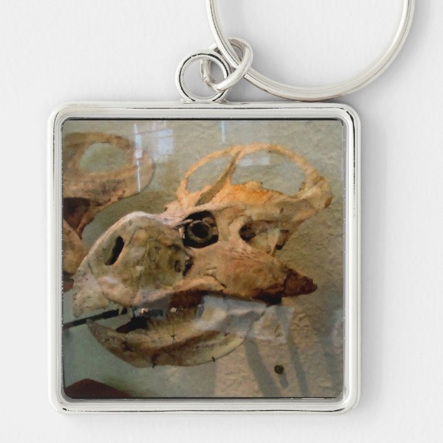 Llavero Pintura de aceite de cráneo de Dino (Frente)