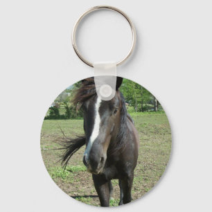 Llavero Pintura de caballo