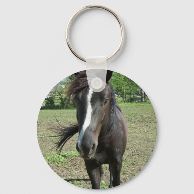 Llavero Pintura de caballo (Anverso)