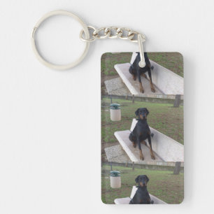 Llavero pinza de doberman sentado