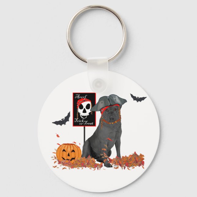 Llavero Pirata de recuperación de Labrador Negro (Anverso)