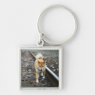 Llavero Pista que camina del perro