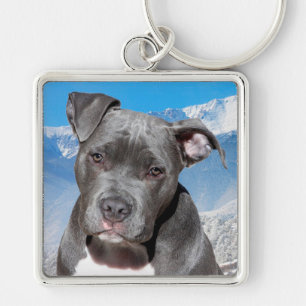 Llavero Pit Bull