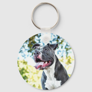 Llavero Pitbull