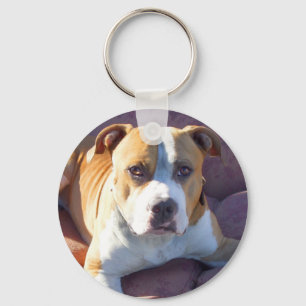 Llavero Pitbull Dog