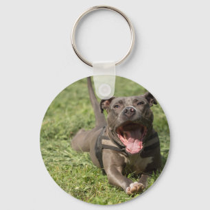 Llavero Pitbull En La Hierba