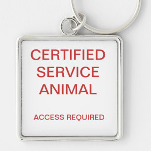 Llavero Placa de identificación certificada del animal de