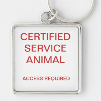 Llavero Placa de identificación certificada del animal del