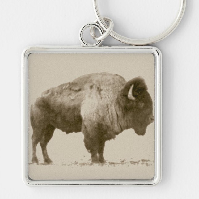 Llavero Plains Bison (Frente)