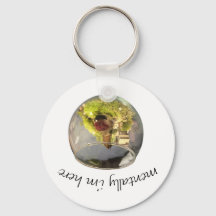 planetario borb