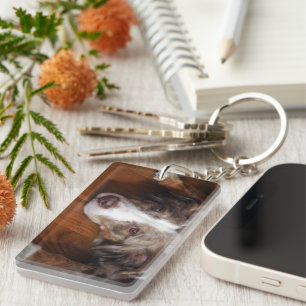 Llavero planicie de tendido de merle rojo australiano