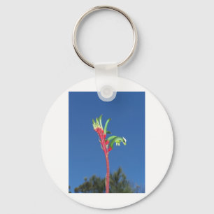 LLAVERO PLANTA DE LA PATA DE CANGURO