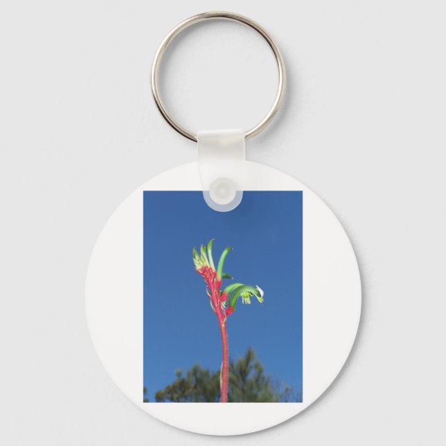 LLAVERO PLANTA DE LA PATA DE CANGURO (Anverso)