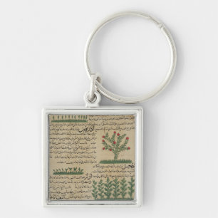 Llavero Plantas botánicas, ilustracion del '