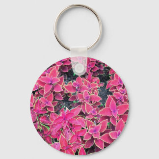Llavero Plantas Coleus Keychain Pink