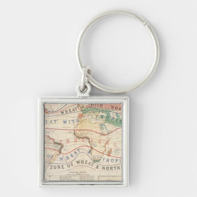 Llavero Plantas de distribución (Frente)