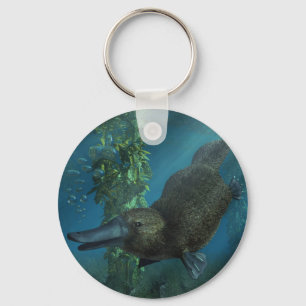 Llavero Platypus