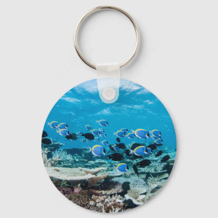 Llavero Playas tropicales Sturgeon Entre Coral