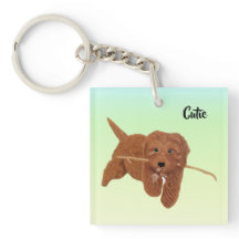 Plaza de Goldie Golden Doodle
