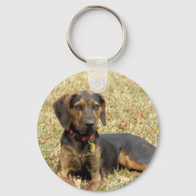 Llavero Plott Hound (Anverso)