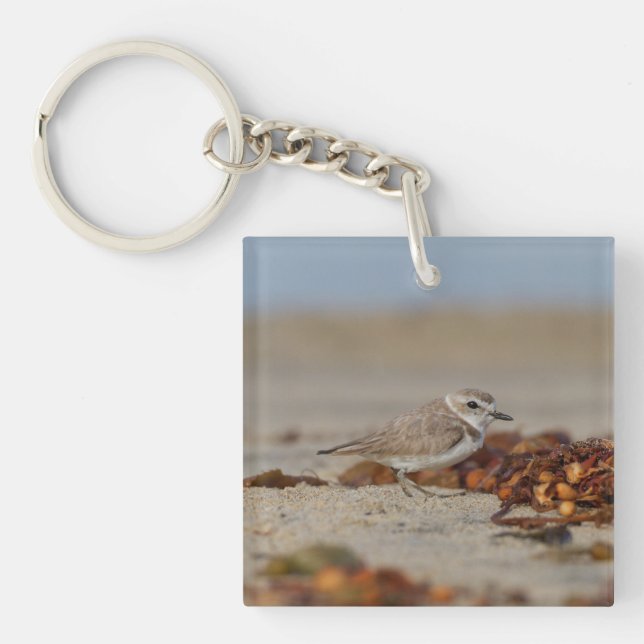 Llavero Plover y Seaweed (Frente)