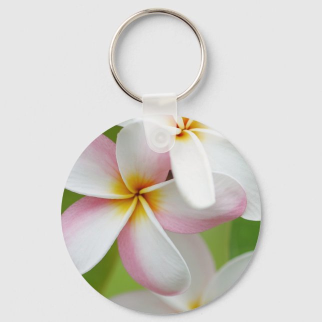 Llavero Plumeria Frangipani Hawaii Flor en blanco personal (Anverso)