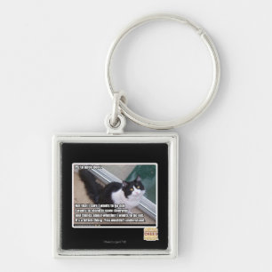 Llavero PLZ a la puerta abierta