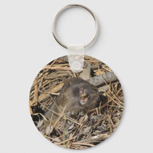 Llavero Pocket Gopher