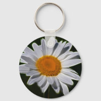 Poder floral de margarita