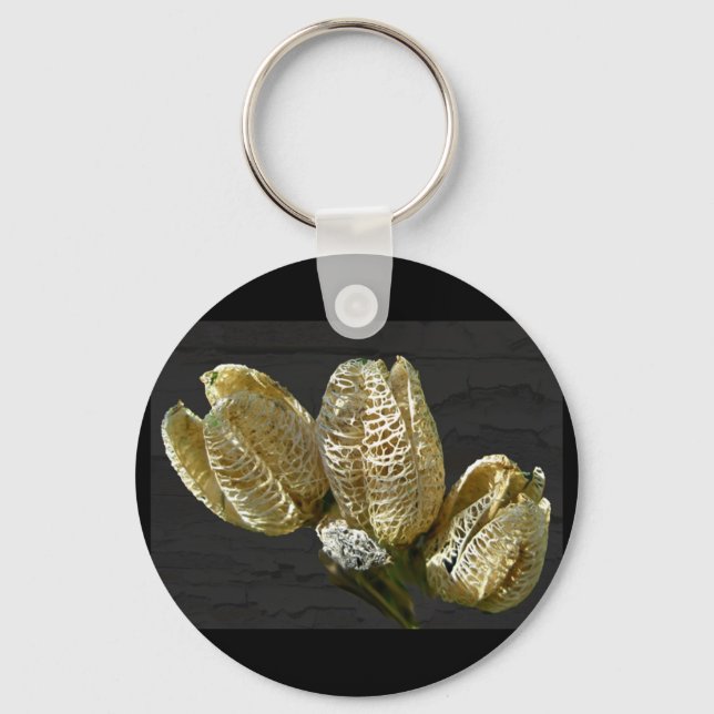 Llavero Pods de semillas de Lily Secas (Anverso)