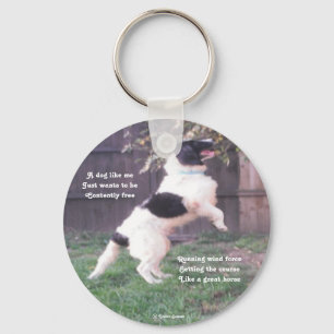 Llavero Poema Key Chain Dog Horse De Ladee Basset