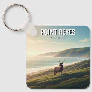 Llavero Point Reyes National Seashore Ciervo