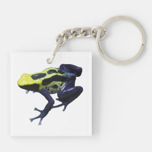 Llavero Poison Dart Frog