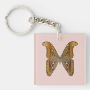 Llavero Polilla Atlas