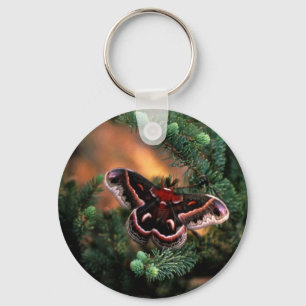 Llavero Polilla de Cecropia