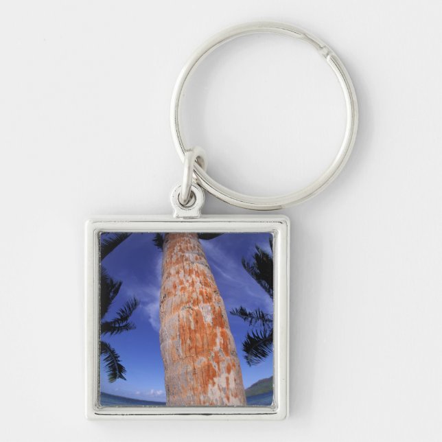 Llavero Polinesia Francesa, Bora Bora, Palmeras (Frente)