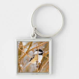 Llavero Pollito de punta negra - Fotografía original