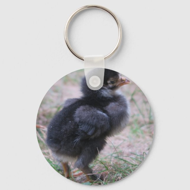 Llavero pollo, pollitos, pollos, pollos, animales, aves, (Anverso)