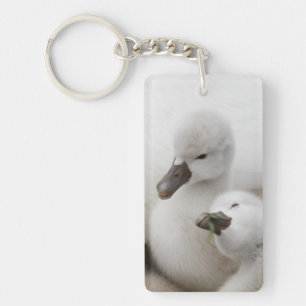 Llavero Pollos del cisne del cisne mudo